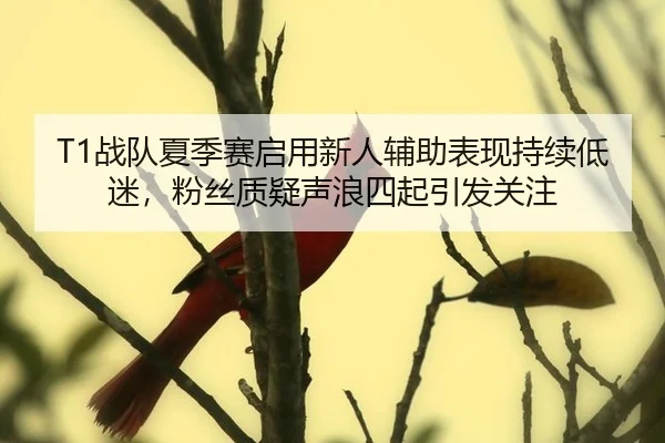 T1战队夏季赛启用新人辅助表现持续低迷，粉丝质疑声浪四起引发关注