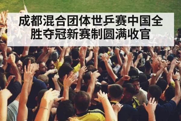 stadium crowd cheering