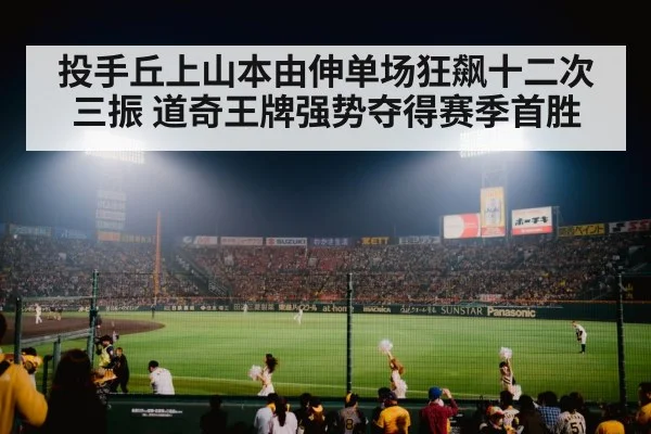 baseball stadium night game